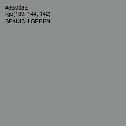 #8B908E - Spanish Green Color Image